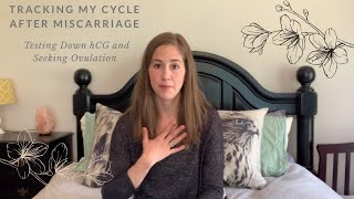 Testing down HCG: How Long for HCG to Reach Zero after Miscarriage? TTC after Pregnancy Loss