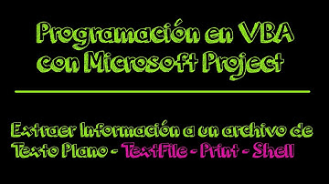 Extraer de información a archivo de texto plano txt #macrosVBA #vba #MSProject