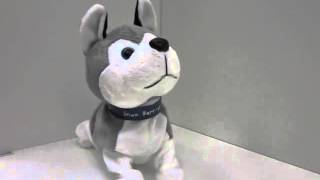 Видео обзор детская игрушка - Интерактивная собачка(Мягкая игрушка собака, ходит, звук, двигает головой, приседает на передние лапы. ПОДПИСЫВАЙСЯ на канал ▻..., 2014-10-08T19:06:58.000Z)