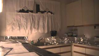 keep cat off counter with foil