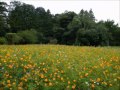 篠原さん
