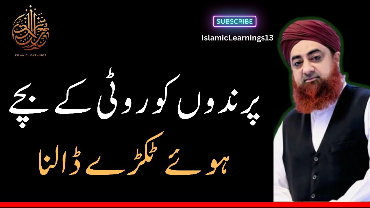 Roti ke Bachy Howe Tukre Parindon ko Dalna | #muftiakmal #aryqtv