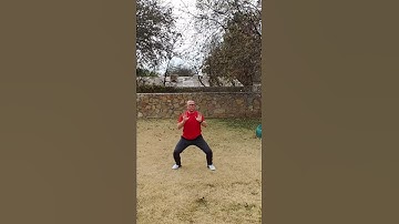 Foundation Hapkido and Self-Defense Association Form 1 in development