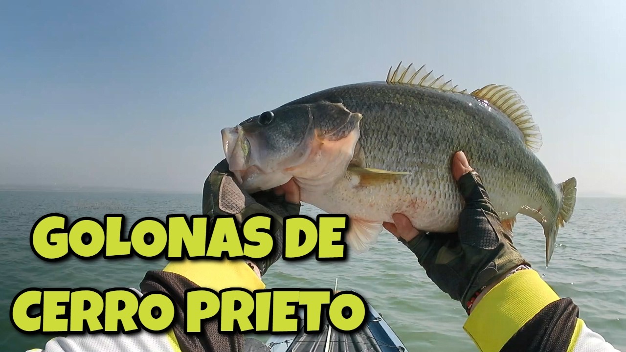 CERRO PRIETO LAKE ON FIRE🔥🎣🚣 | SALIERON LAS GOLONAS