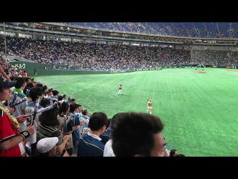 2019.08.13　日本ハムファイターズ　1-9　東京ドーム