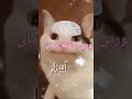 وربي ادمانن
