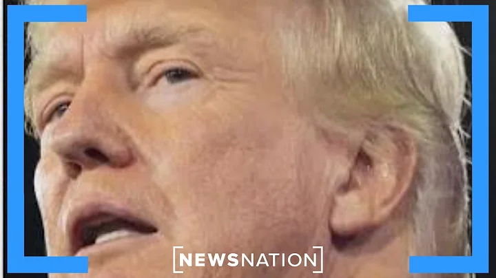 Will any GOP candidates take on Trump in primary debate? | Dan Abrams Live