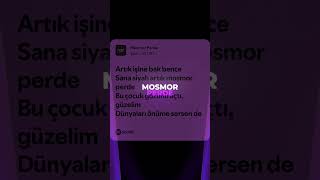 Blok3 - Mosmor Perde (Spoti̇fy Lyri̇cs Edi̇t)