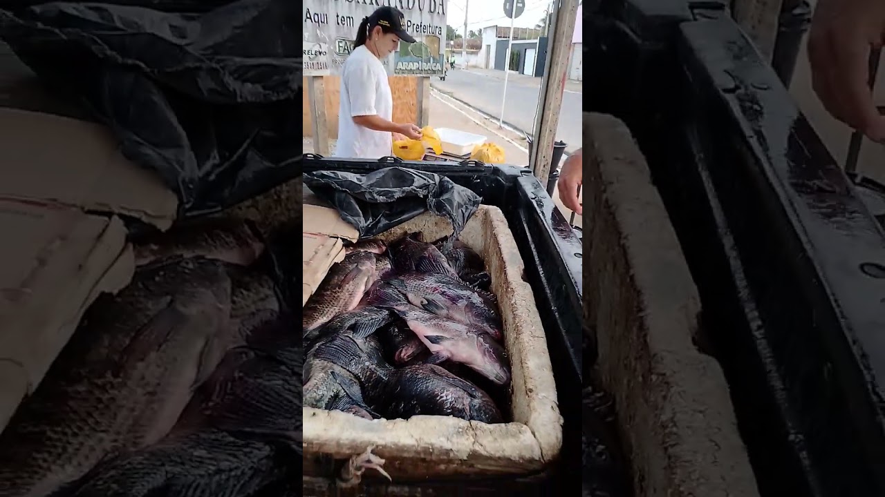 18 de fevereiro de 2026