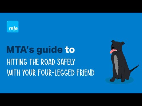 MTA - Travelling with Animals