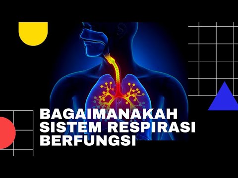 Video: Apakah proses menghembus nafas?