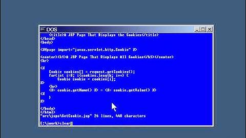 Lesson3.Setting and Getting JSP Cookies