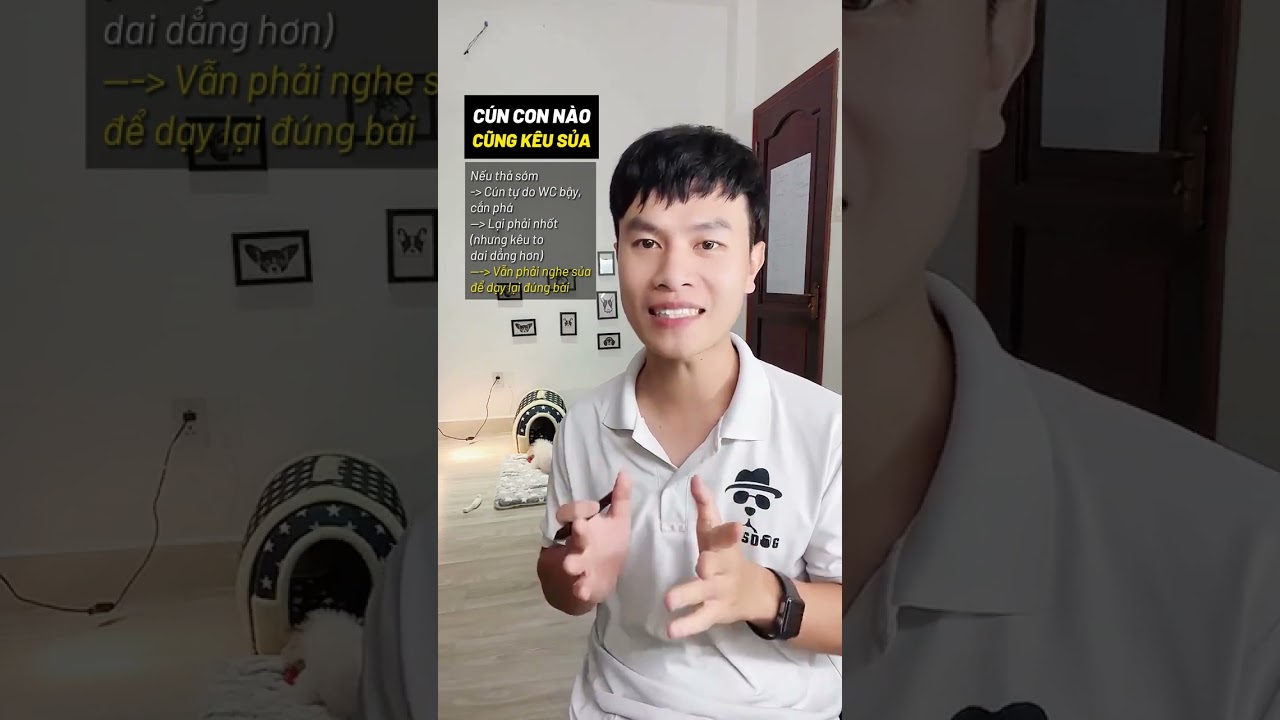 CÚN KÊU SỦA - KHÓC - RÊN RỈ