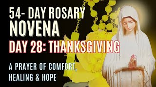DAY 28: The Power of the Rosary Novena -54 Day Miracle: Luminous Mysteries