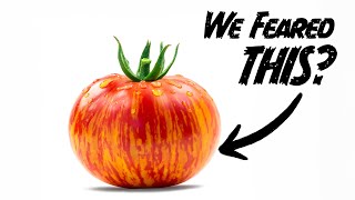 The scary history of tomatoes