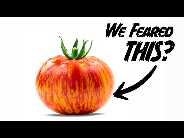 The scary history of tomatoes - YouTube