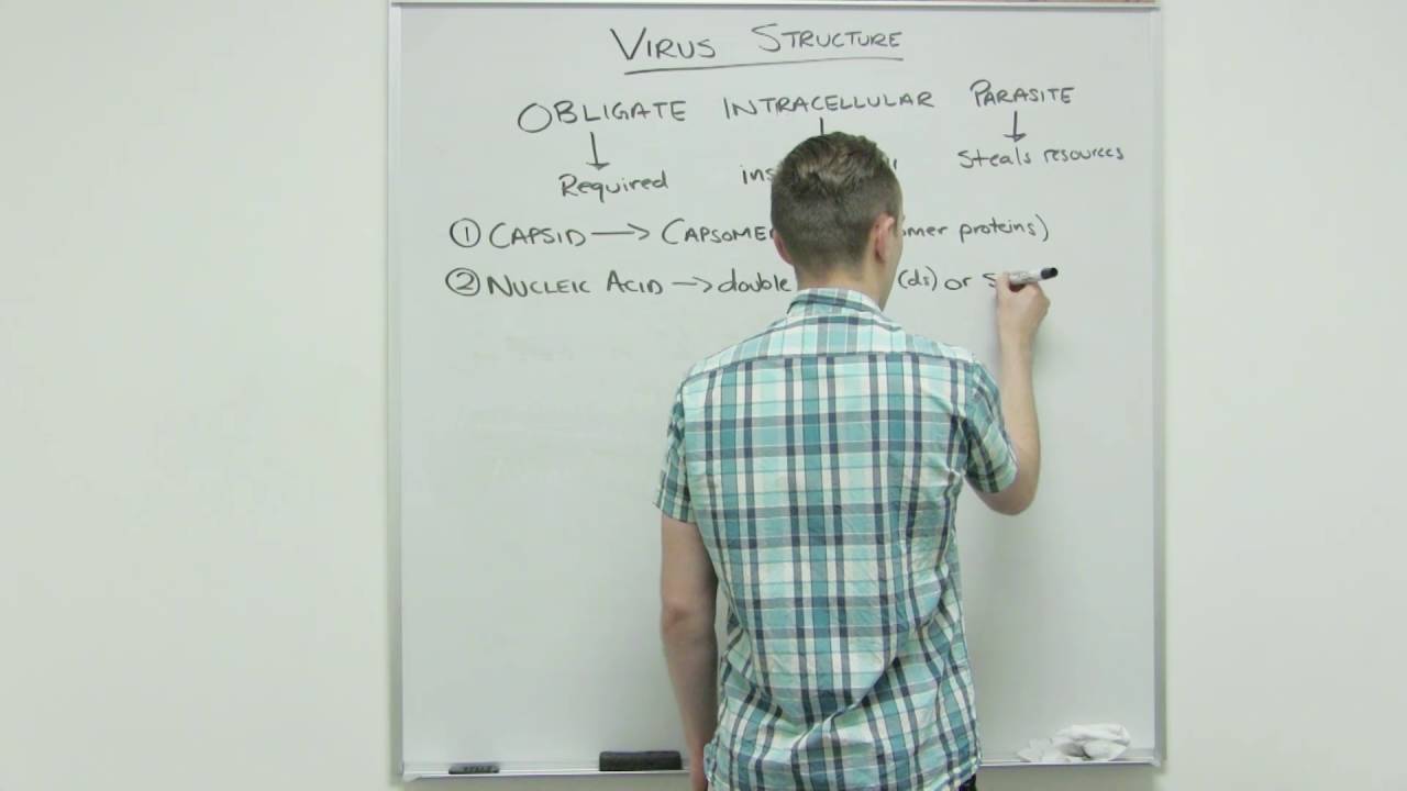 Virus Structure