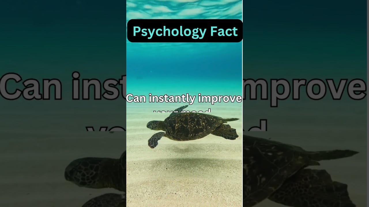 Exploring the World: A Journey of Knowledge and Discovery 4