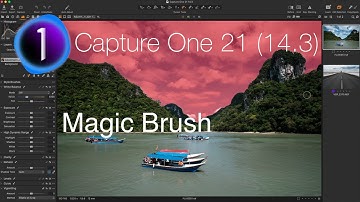 Magic Brush in Capture One 21 14.3 and New Export
