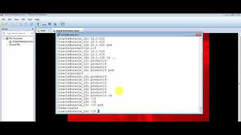 pwd Command in Linux to check present working directory