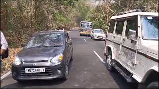 জাতীয় সড়কে হাতি।গাড়ি চলাচল থমকে গেলো ।লাটাগুড়ি জঙ্গল এলাকায়