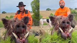 Chasse sanglier Tunisie- Hunting The Most Extreme Creatures On Earth