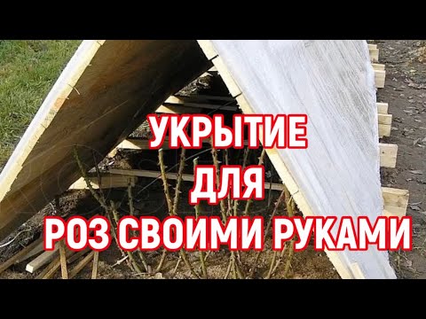 Укрытие для роз на зиму своими руками