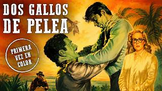 Dos gallos de pelea | Luis Aguilar | Comedia | Rosita Quintana | Western | Coloreado