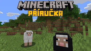 Jak hrát Minecraft na PC?