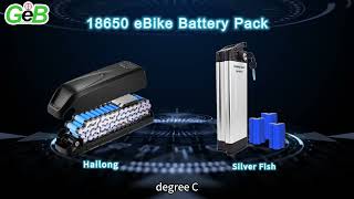 Revolutionizing Energy Storage: GEB's Wide Temperature Range Battery Unleashed