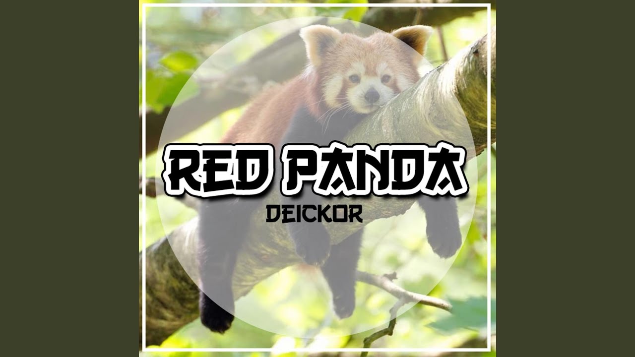 Watch Red Panda on YouTube Watch Red Panda on YouTube