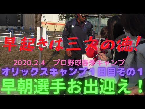 【神対応】早起きは三文の徳！早朝の球場入りする選手からサイン貰おう！アダム・ジョーンズ、吉田正尚との交流！プロ野球春季キャンプオリックスバファローズ2020.2.4