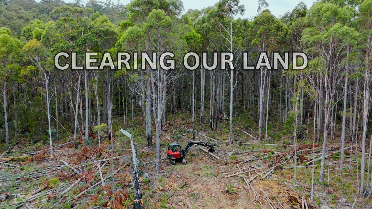 Clearing For Our Orchard And Chooks, 150 Year Old Front Doors & More! 