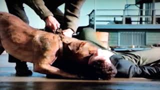 Turner & Hooch 1989 Scene - Scott brings Hooch a Muffin Turner & Hooch 1989 Scene - Scott brings Hooch a Muffin