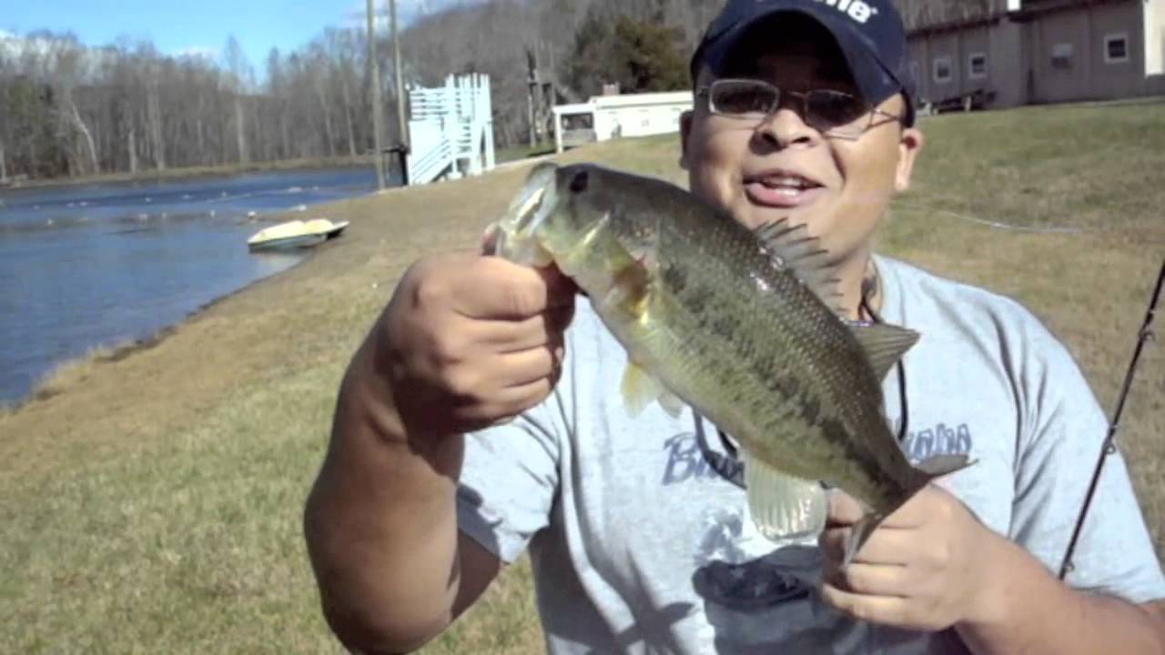 Bass fishing during a cold front YouTube