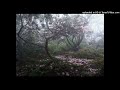 (FREE) Iayze x Jace! x Ambient type beat -"Reborn"