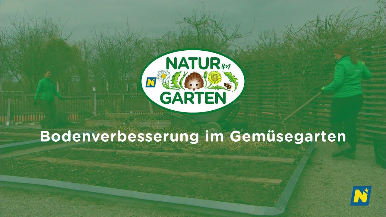 Bodenverbesserung im Gemüsegarten YouTube