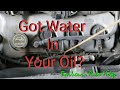 What Coolant In Engine Oil Looks Like & Possible Causes