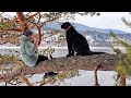 Panther Luna. Walking around our favorite places (part 1) (ENG SUB)