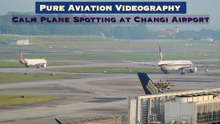 Plane Spotting Changi Airport: Calming Aviation Videography