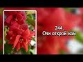 Гимны надежды 244 Очи открой нам (-)