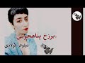 زخم پناهجویی نيلوفر فولادی