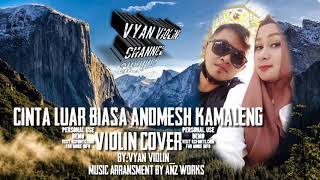 CINTA LUAR BIASA_andmesh kamaleng (VIOLIN COVER) audio only