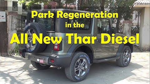 Park Regeneration | All New Thar Diesel