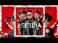 ASESINA REMIX - DJ Raulito