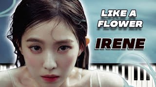 Like A Flower - IRENE (아이린)
