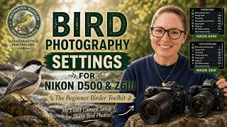 Bird Photography Camera Settings: Nikon D500 &amp; Z6III (The Beginner Birder Toolkit)