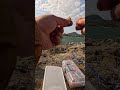 【癒しの釣り体験】山が見守る岩場での静かな釣り旅 🎣✨