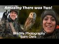 Beautiful Barn Owls in Suffolk with Rich and Gem