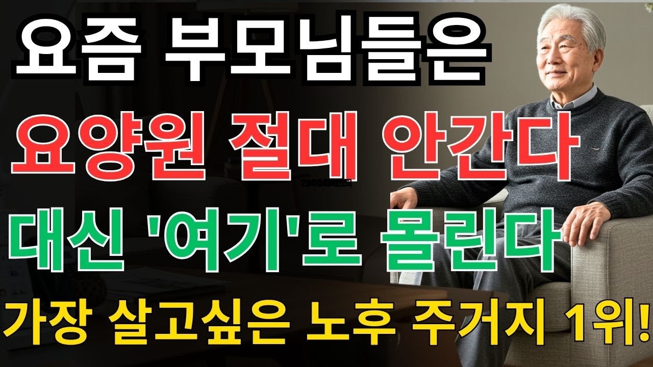 노년의 외로움을 해결한 ‘이 작은 습관’… 누구나 따라할 수 있어요